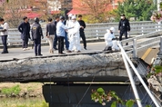 “분당 정자교 붕괴사고 적절 유지보수 없어 발생” 감정 결과 나와