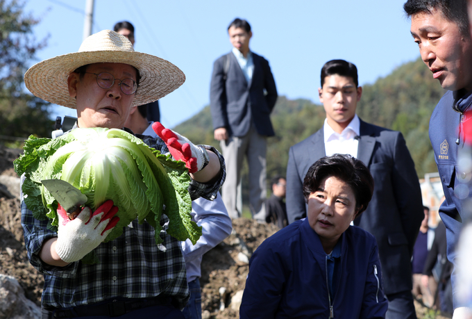 배추밭 찾은 이재명, 농작물 수입허가권 농민 부여 당론 추진