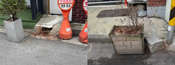 부평역 미얀마거리 핏자국, 씹는 담배 꽁야 탓